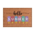 thumbnail image 1 of Funny Door Mat Summer Theme Mat Hello Summer Indoor Outdoor Rugs House Warming Gift Personalized Home Decor 16x24IN Summer Door Mats Coir Door Mat Durable Soft Entry Doormats for Entryway, 1 of 4