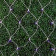 thumbnail image 4 of Novelty Lights 4x6 Outdoor Purple LED Net Lights, 100 Bulbs, White Wire, 4 of 5