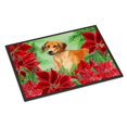 thumbnail image 1 of Carolines Treasures CK1324JMAT Tapis Intérieur Ou Extérieur Rhodésien à Dos Cranté Poinsettas, 24 x 36 Po, 1 of 4