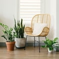 thumbnail image 2 of 10pcs Garden Plant Saucer Drip Tray Round Pot Base Clear Snack Container PET, 2 of 6