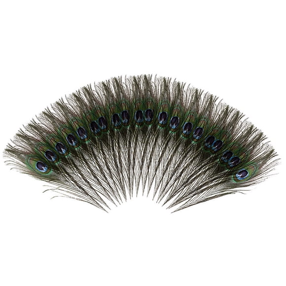 Lots Natural Real Peacock Tail Eye Feathers DIY Crafts25-30cm/9.8-11.8Inches