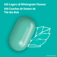thumbnail image 2 of TIC TAC Mints, Wintergreen, Mint Candy 60 Pills, 29 g, 2 of 5