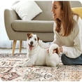 thumbnail image 2 of 6x9 Area Rug Living Room Rugs -Soft Machine Washable Oriental Vintage Floral Distressed Rug Large Indoor Floor Carpet for Bedroom Under Dining Table Home Office Decor - Multi, 2 of 7