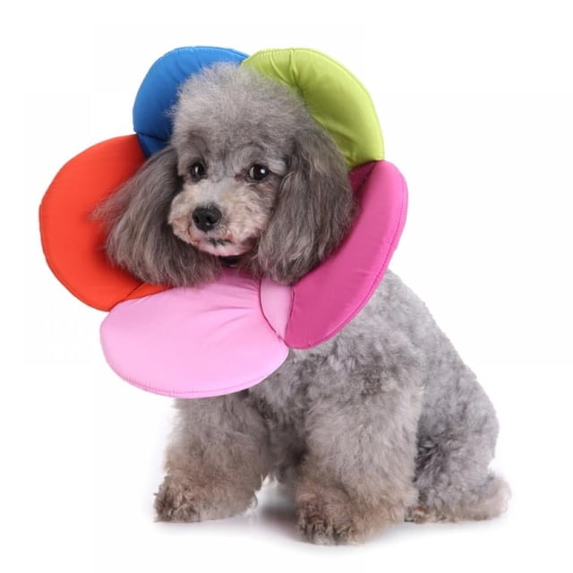 Couverture de Collier de Protection pour Animaux de Compagnie Chien Chat Collier de Fleurs Anti Morsure Beauté Réglable Anneau de Couverture Protecteur