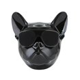 thumbnail image 1 of Haut-parleur pour Chien Portable Stéréo True Wireless Bluetooth Rechargeable : Noir, 1 of 7