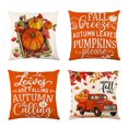 thumbnail image 1 of LNGOOR Thanksgiving Decorations Thanksgiving Fall Home Sofa Cover Decor Cushion Pillowcase Home Decor, 1 of 9