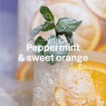 thumbnail image 2 of Attitude Hand Soap Ppprmnt & Sweet Orange Refill 2L, 2 of 7