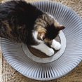 thumbnail image 5 of KATRIS Nest Cat Scratcher Lounge Bed (Pearl White Assembled Bundle), 5 of 5