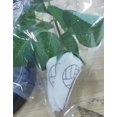 thumbnail image 3 of RXIRUCGD Softball Roses / Softball Gifts Softball Leather Mother's Day Gift-Sport Leather Rose R Ro, 3 of 3
