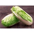 thumbnail image 3 of HIGHGW Napa Chinese Peking Cabbage Vegetable for Planting Heirloom, 3 of 8
