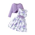 thumbnail image 1 of Splozh Toddler Dance Outfit 2PCS Little Toddler Girls Dress with Cardigan Floral Dresses Ruffle Sweaters Spring Fall Clothes Purple,2-3 Years, 1 of 5