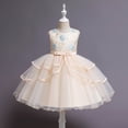 thumbnail image 2 of Robe de Princesse Sans Manches en Dentelle pour Fillette, Robe de Fête en Tulle, Vêtements de Cosplay, 2 of 9
