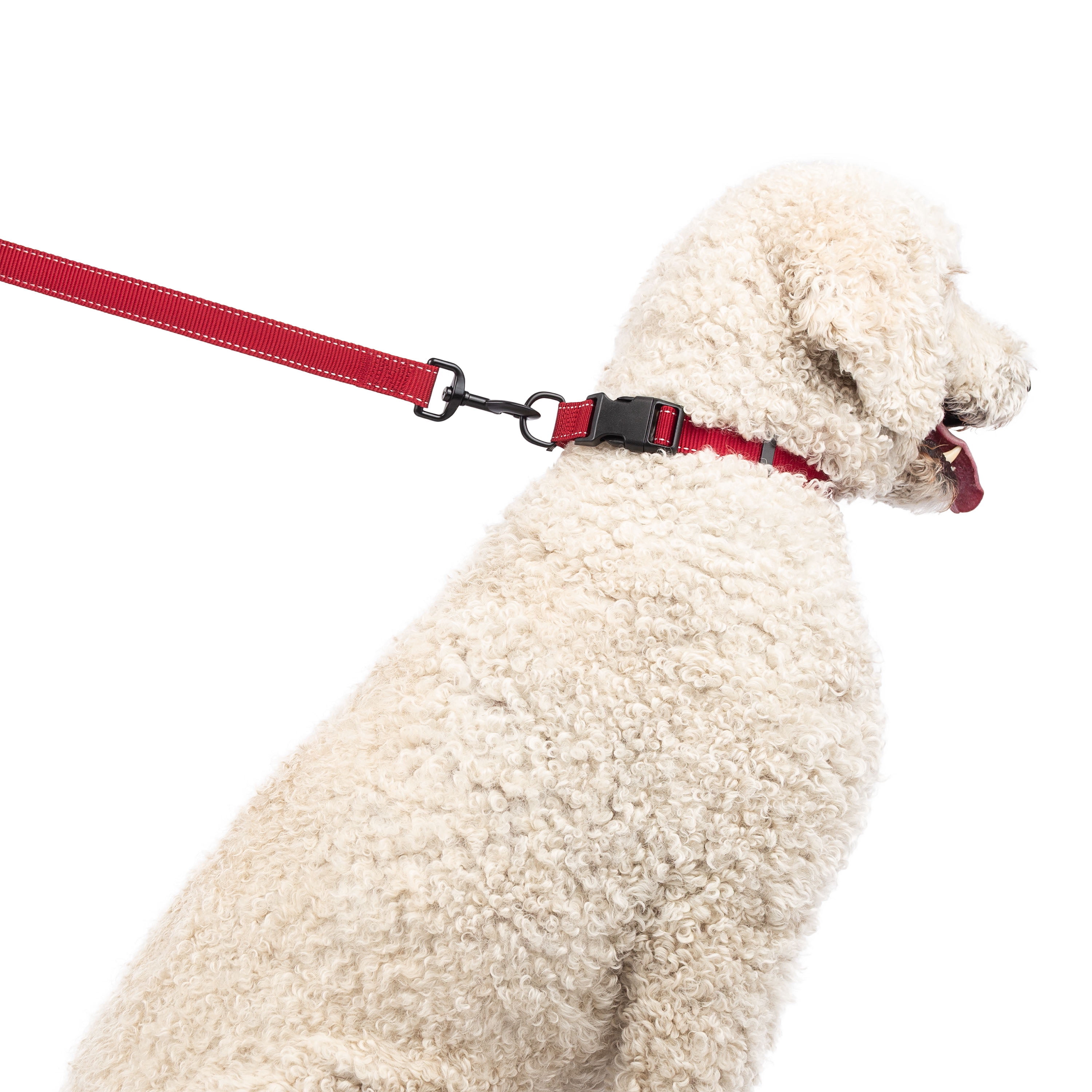 One Paw, Collier à sangle pour chiens
