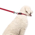 thumbnail image 2 of One Paw, Collier à sangle pour chiens, plusieurs couleurs et tailles disponibles, 2 of 5