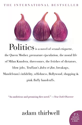 Politics: A Novel