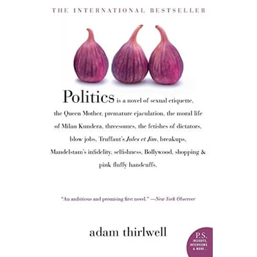 Politics: A Novel