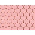 thumbnail image 1 of Ahgly Company Tapis Rectangulaire Lavable en Machine Intérieur Transitionnel Rouge Clair Rose, 3 Pieds x 5 Pieds, 1 of 7