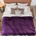 thumbnail image 2 of REGALWOVEN 1 Pcs Home Warm Soft Microplush Fleece Solid Throw Blanket Dark Purple 78" x 90", 2 of 9