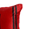 thumbnail image 2 of NBA Toronto Raptors Body Pillow, 18" x 36", 2 of 4