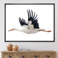 thumbnail image 3 of Designart Flying White Stork Ciconia oiseau ART MURAL À CADRE FLOTTÉ, 3 of 4