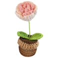 thumbnail image 1 of GROWTH TANK Handmade Crochet Flowers Car Dashboard Decorations Mini Crochet Potted Plant for Gradient Pink Rose, 1 of 9