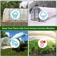 thumbnail image 3 of Heavy Duty Polyethylene Greenhouse Sheeting Replacement Cover For Hoop Durable Frost Shield Film, 3 of 6