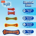 thumbnail image 2 of Hartz Chew 'n Clean Extra Large Dental Duo Dog Toy, 2 of 5