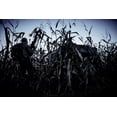 thumbnail image 2 of Ameristep Care Taker™ Run & Gun Cache De Chasse, 2 of 3
