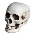 thumbnail image 2 of Yhmxh Halloween Decorations,Party Favors,Halloween Skeletons Plastic Realistic Fake Simulation Human Skull HeadBone Model Halloween Prop Realistic Mini Skeleton Spooky Halloween Decoration, 2 of 5