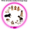 thumbnail image 4 of USB Rechargeable LED Dog Collar Glowing pet Dog Collar for Night Safety  Water Resistant Cuttable TPU Light Up Collars Fashion Light up Collar for Small Medium Large Dogs, 4 of 5