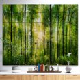 thumbnail image 2 of Design Art - Forest with Rays of Sun Panorama, 2 of 5
