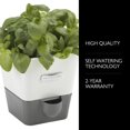 thumbnail image 2 of Cole & Mason Arrosoir Auto-Arrosant pour Fines Herbes en Pot, 2 of 7