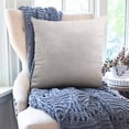 thumbnail image 3 of Dvruxg Velvet Throw Pillow Covers 16x16 Inch - Soft Square Decorative Cushion Cover for Couch, Sofa, 3 of 5
