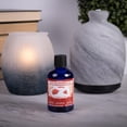 thumbnail image 3 of ScentSationals Multi Use Fragrance Oil - Strawberries & Cream, 3 of 3
