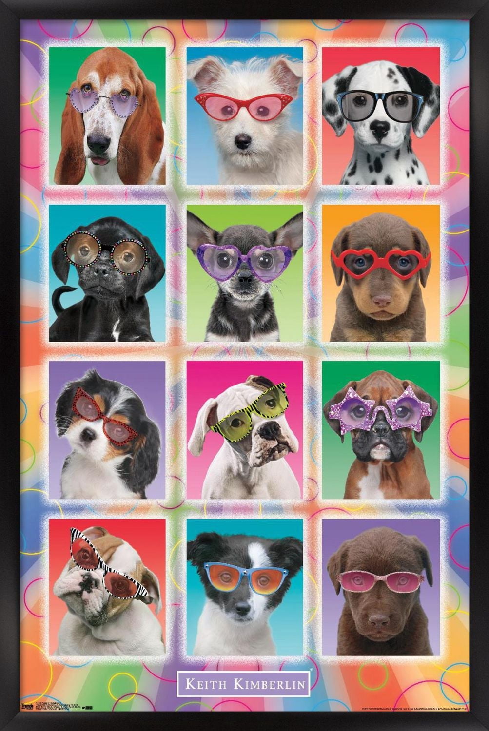Keith Kimberlin - Puppies - Sunglasses Wall Poster, 22.375" x 34"