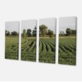 thumbnail image 2 of Wisconsin Soybean Field Rows - Landscape Canvas Art Print, 2 of 3