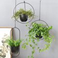 thumbnail image 3 of Trayknick Succulent Hanging Planter Creative Sturdy Iron Detachable Chain Flower Hanging Pot for Garden, 3 of 13