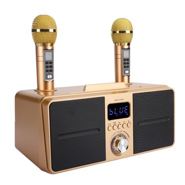 Filfeel Kit Audio KTV Familial de Haute Qualité Microphone Sans Fil Intégré Carte Audio en Direct Kara pour Fête Salle de Classe Réunion