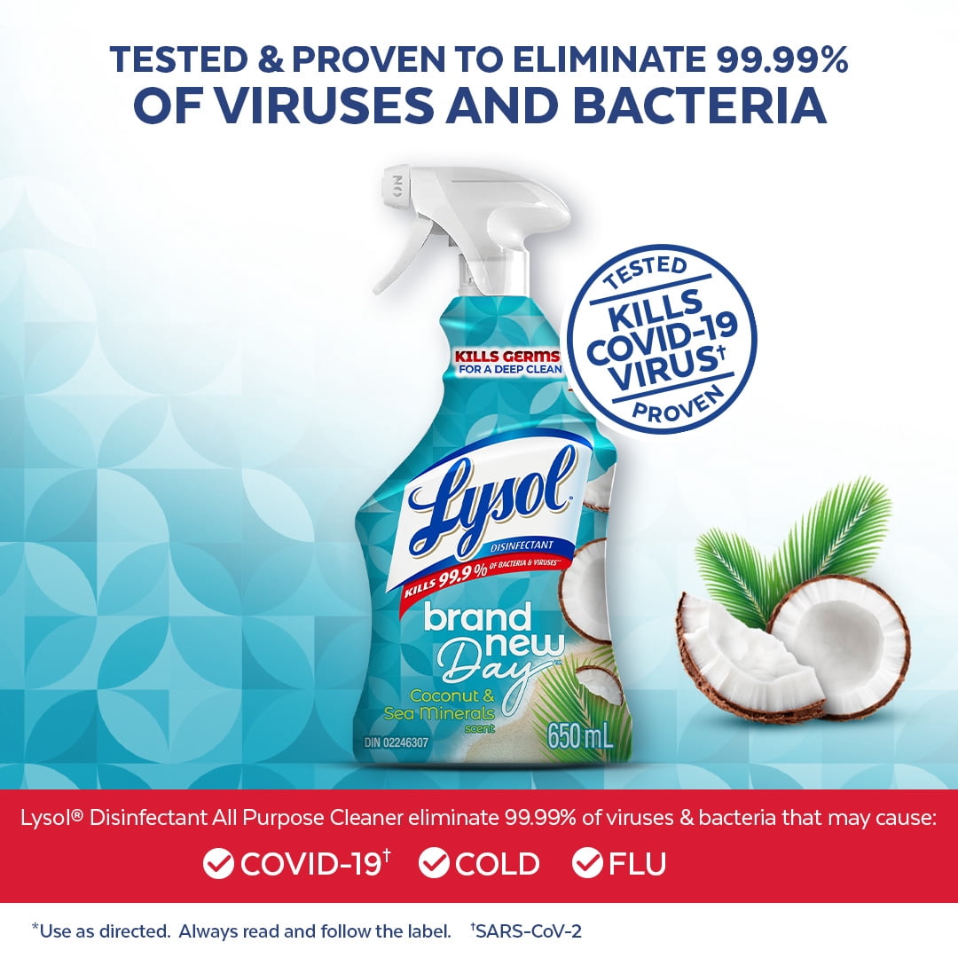 LYSOL® Vaporisateur Tout Usage - Brand New Day Coconut & Sea Minerals, 650ml