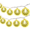 thumbnail image 4 of Lksixu Lemon String Lights, 59 inch Yellow Lime Slice LED Decorative Lights, Battery Operated Warm-Glow Lemon Decorations Waterproof Fruit Design Fairy Lights for Wedding Home Party Indoor Outdoor, 4 of 9