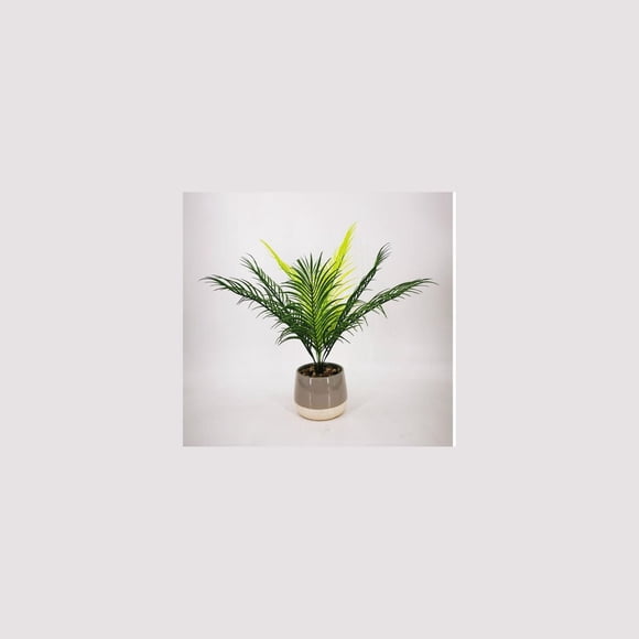 Lerman Decor's tropical potted plant