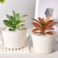 thumbnail image 4 of Plastic Basin Plastic Flower Pot for Succulents 3 Sizes Small Plant Container Indoor Outdoor Decor 1Pcs 12.5x7.7cm Rkxzt, 4 of 6