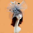 thumbnail image 2 of Hair Clip Fascinator Mesh: Fascinator Fascinator Fascinator Fascinator, 2 of 4