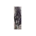 thumbnail image 3 of Hand Painted Canvas Wall Art (Brazen Horse) - Set of 2, 3 of 4