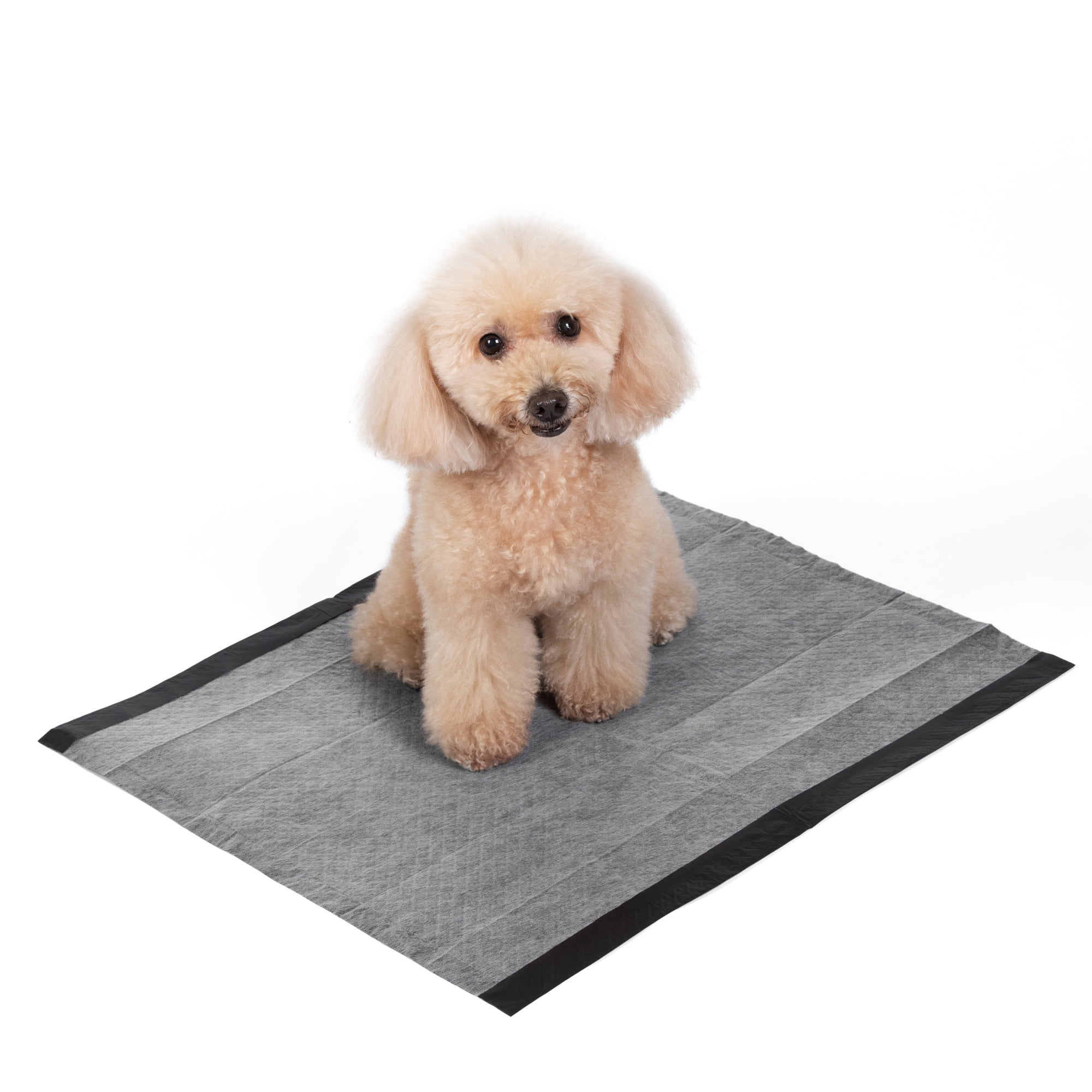 Glad For Pets Black Charcoal Puppy Senior Pads 23"x23" 14ct