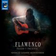 thumbnail image 1 of Flamenco: Pasado y Presente, 1 of 1