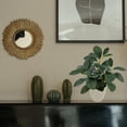 thumbnail image 2 of Mainstays 11in Indoor Artificial Plant in Pot, Green Peperomia., 2 of 5