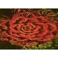 thumbnail image 1 of Ahgly Tapis Rectangulaire Lavable en Machine Intérieur Transitionnel Acajou Brun, 2 Pieds x 4 Pieds, 1 of 7