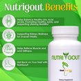 thumbnail image 3 of NutriGout - Uric Acid Support Formula by GoutandYou, 3 of 6