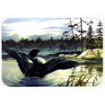 thumbnail image 1 of Carolines Treasures PTW2059JCMT Huard Cuisine & Bain Mat&44; 24 x 36 Po., 1 of 1